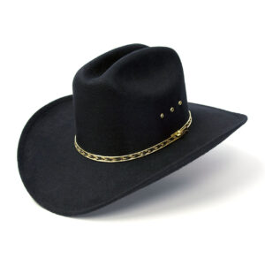 Chapeau de cowboy