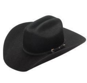 Chapeau Dallas 101001 Twister