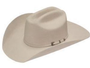 Chapeau Dallas 1010277 Twister
