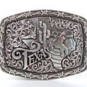 Boucle de ceinture cactus/horse Nocona