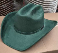Chapeau vert Somher TTF009.png