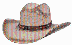HEARNE_PALM_IDAHO_CROWN_4_14_prdcode_73207_s_d28740.gif
